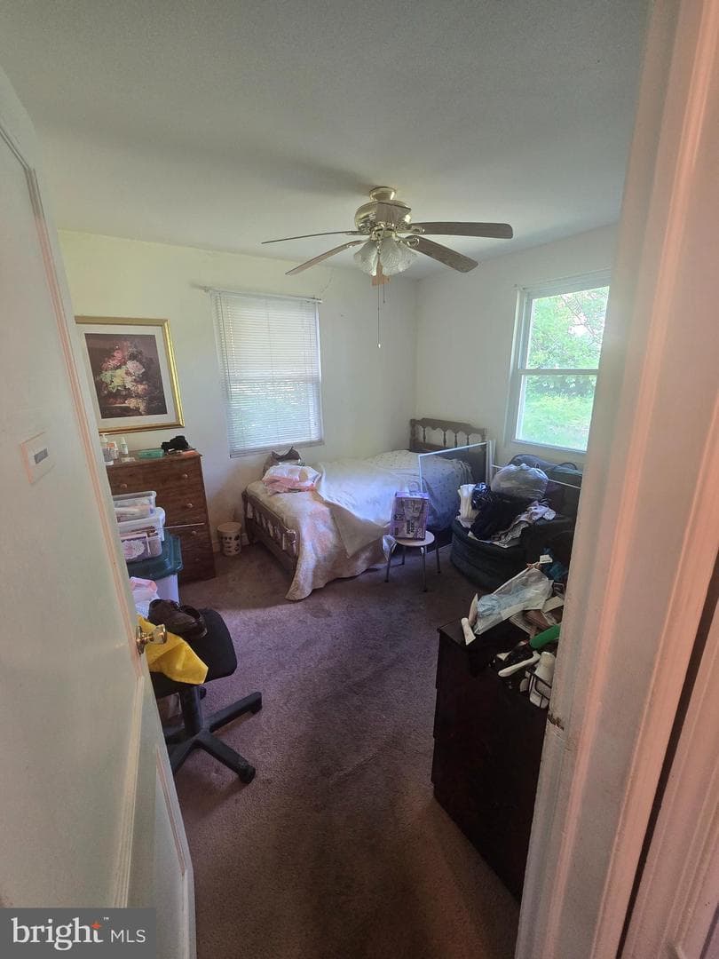 4106 Clark Street photo 10