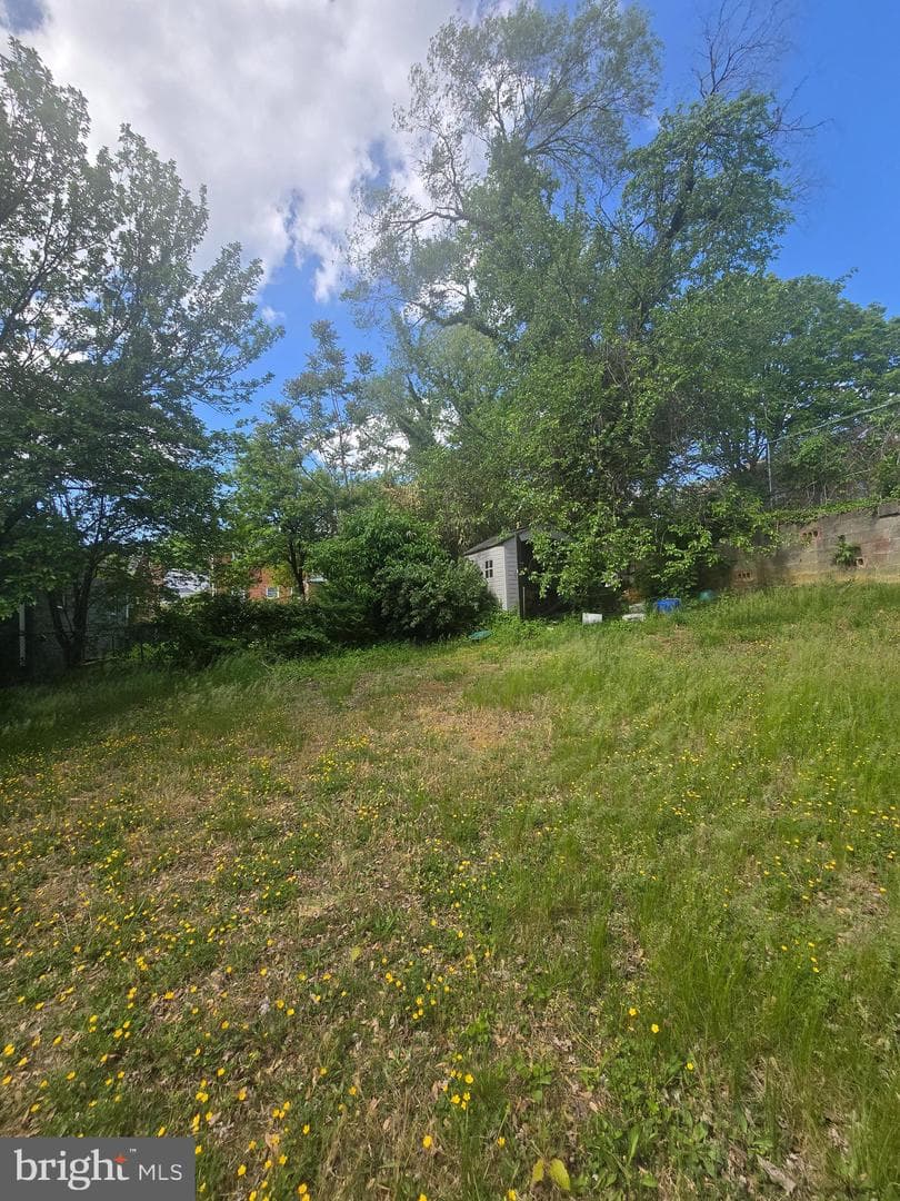 4106 Clark Street photo 18