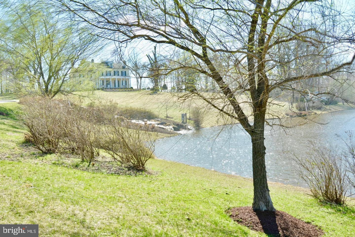 405 Stanwich Terrace photo 56
