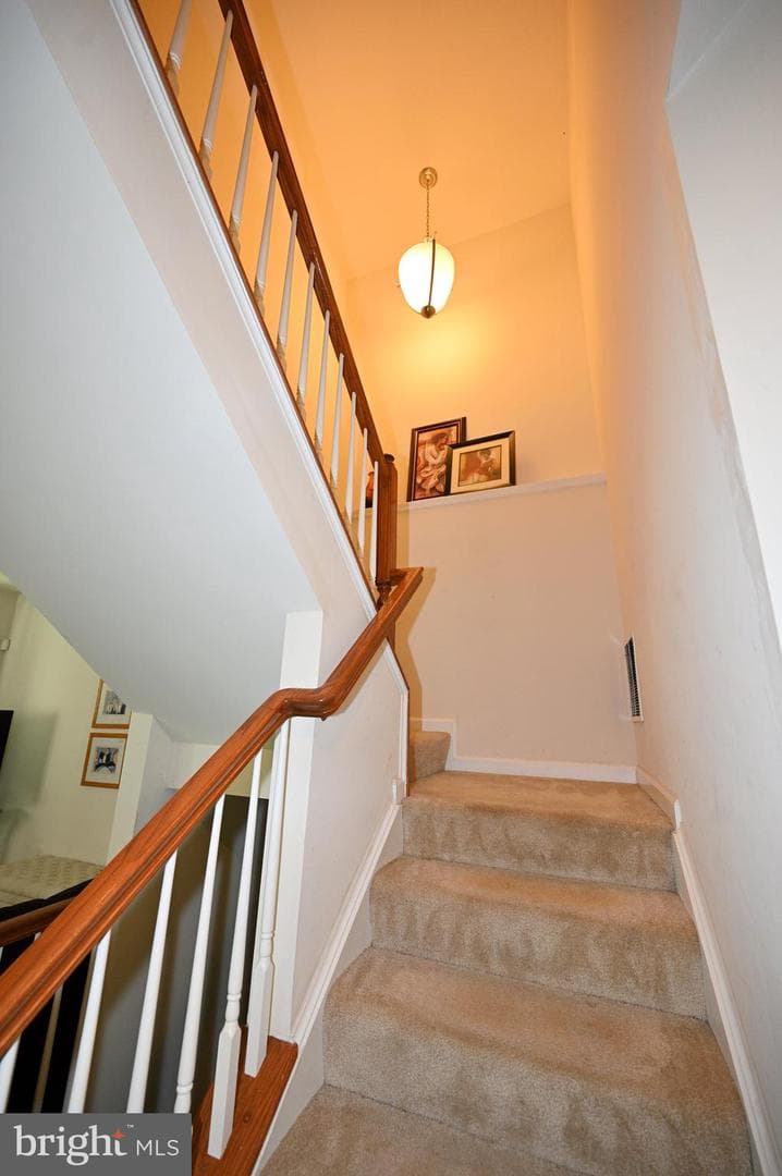 13810 Catzell Court photo 22