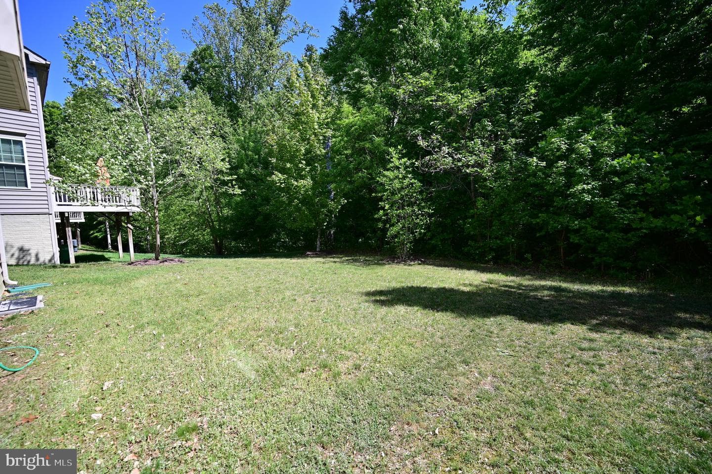13810 Catzell Court photo 46