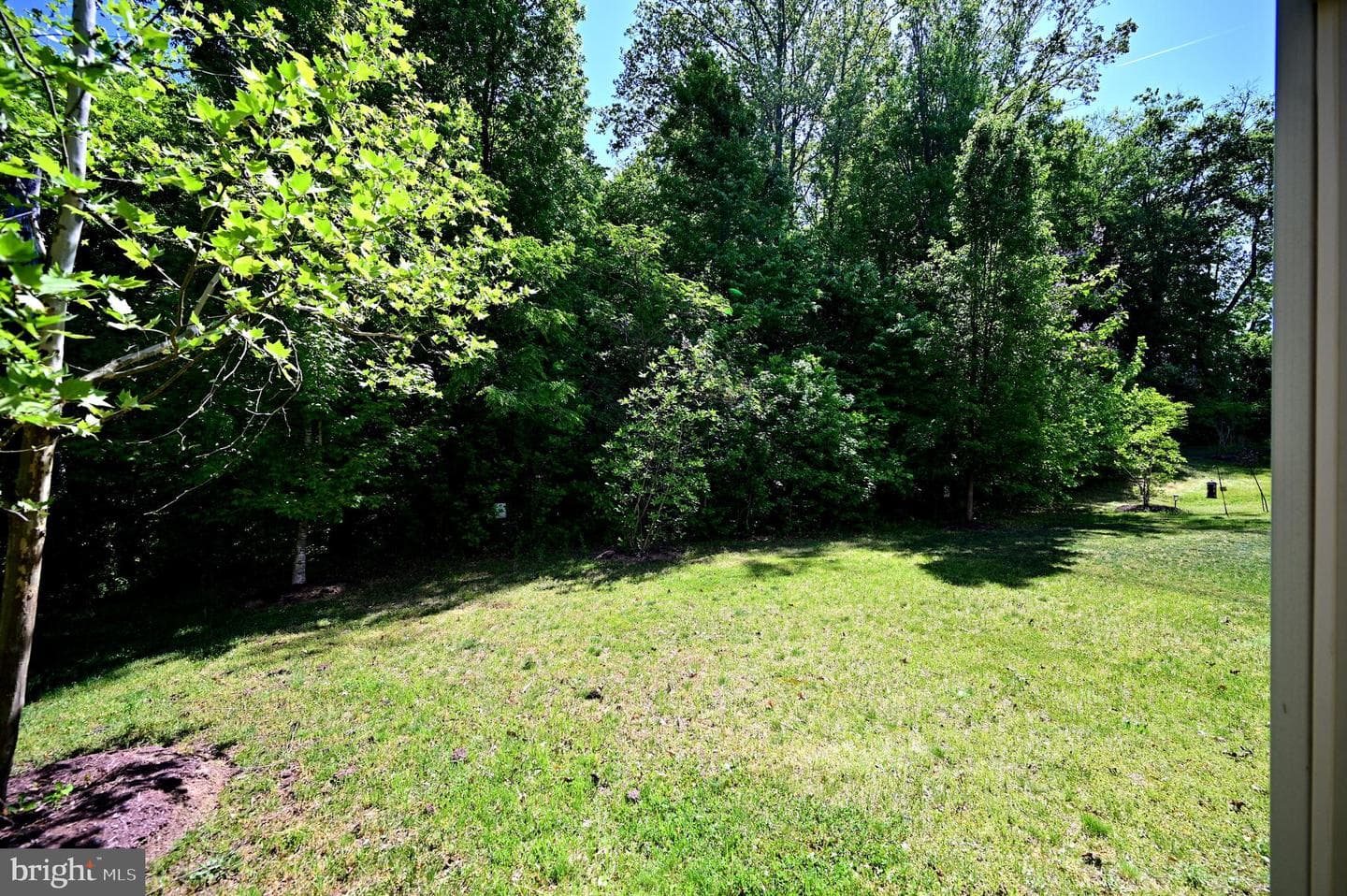 13810 Catzell Court photo 47