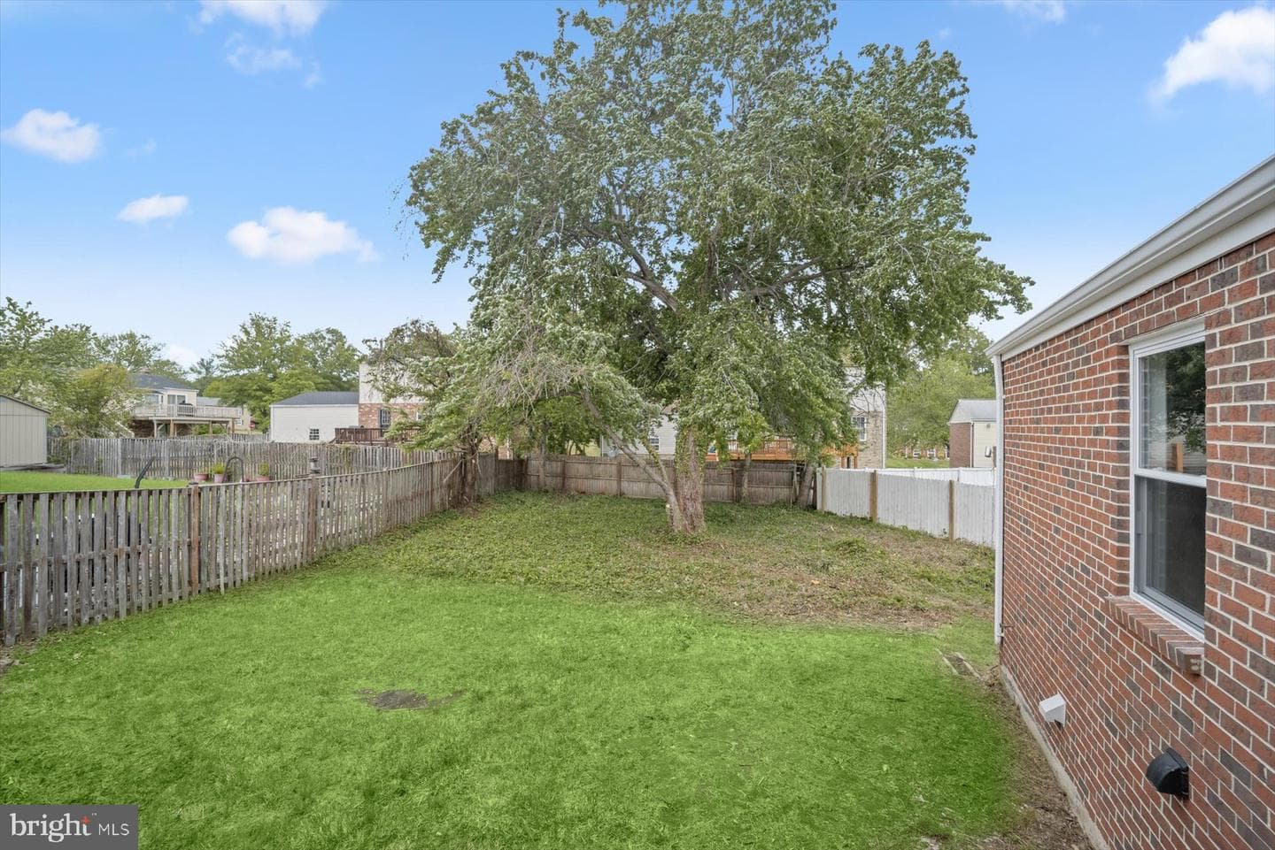 12216 Birchview Drive photo 3
