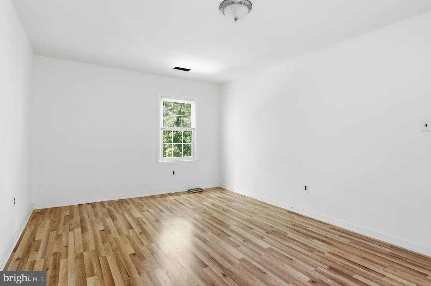 201 Castleton Place photo 19