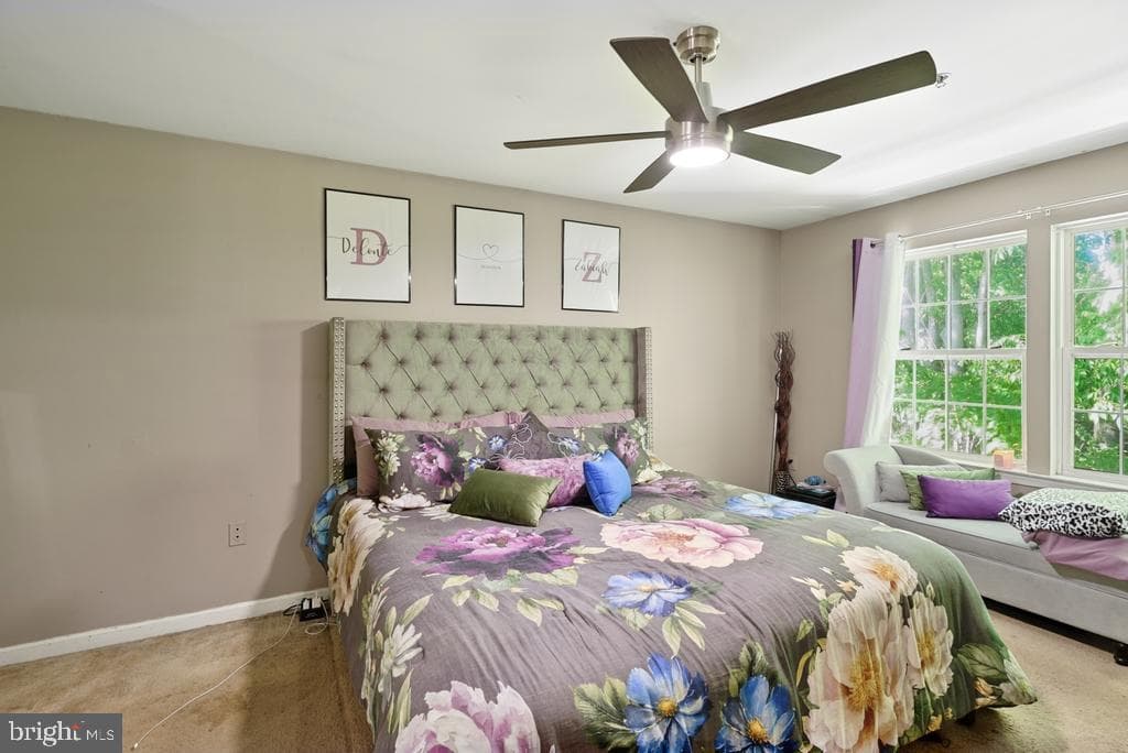 6704 Seabird Court photo 25