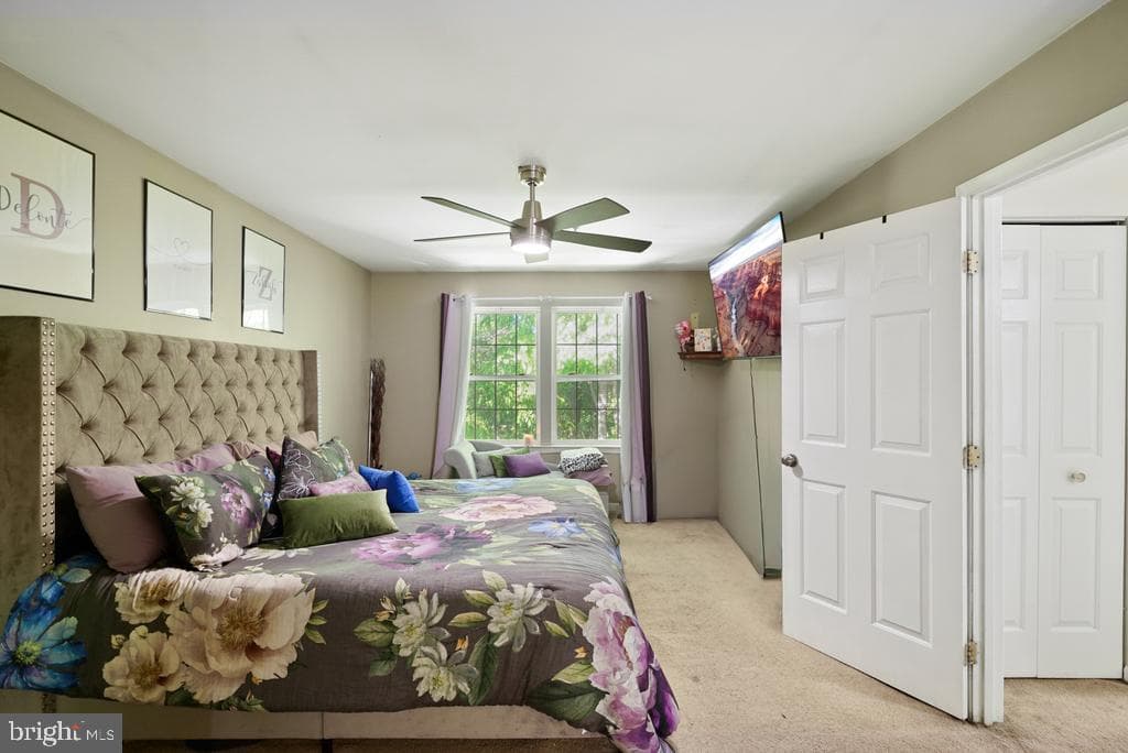 6704 Seabird Court photo 26