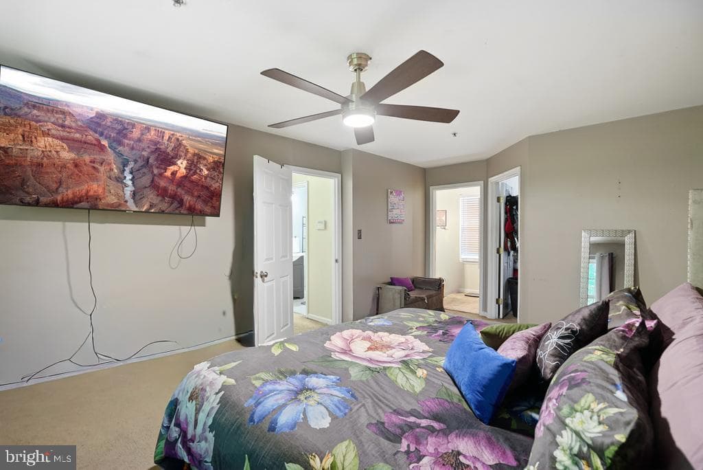 6704 Seabird Court photo 27