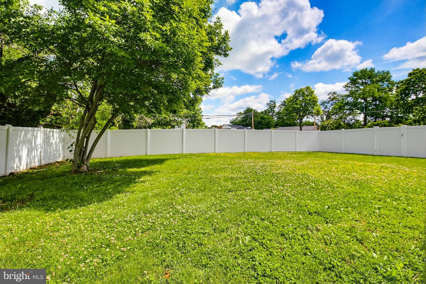 4311 Powder Mill photo 51