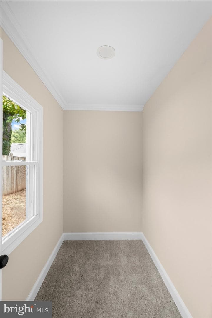 12508 Swirl Lane photo 38