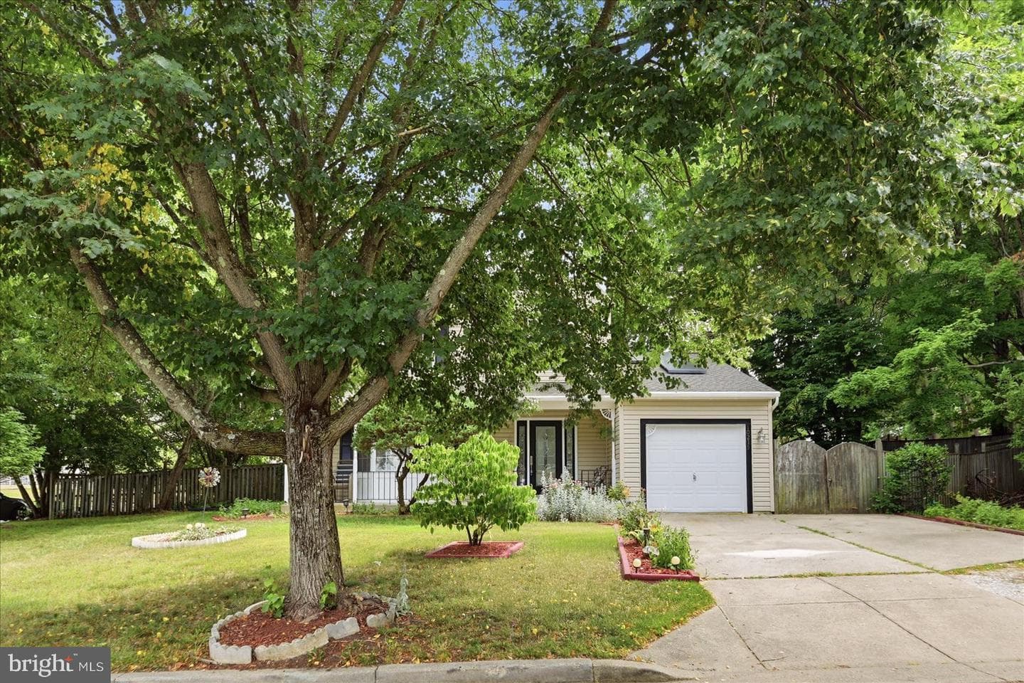 10215 Terraco Place photo 22