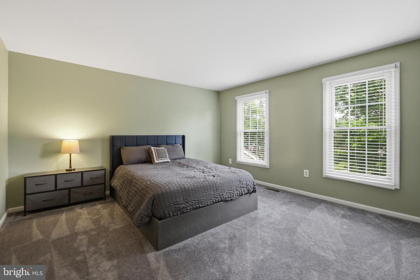 10734 Willow Oaks Drive photo 22