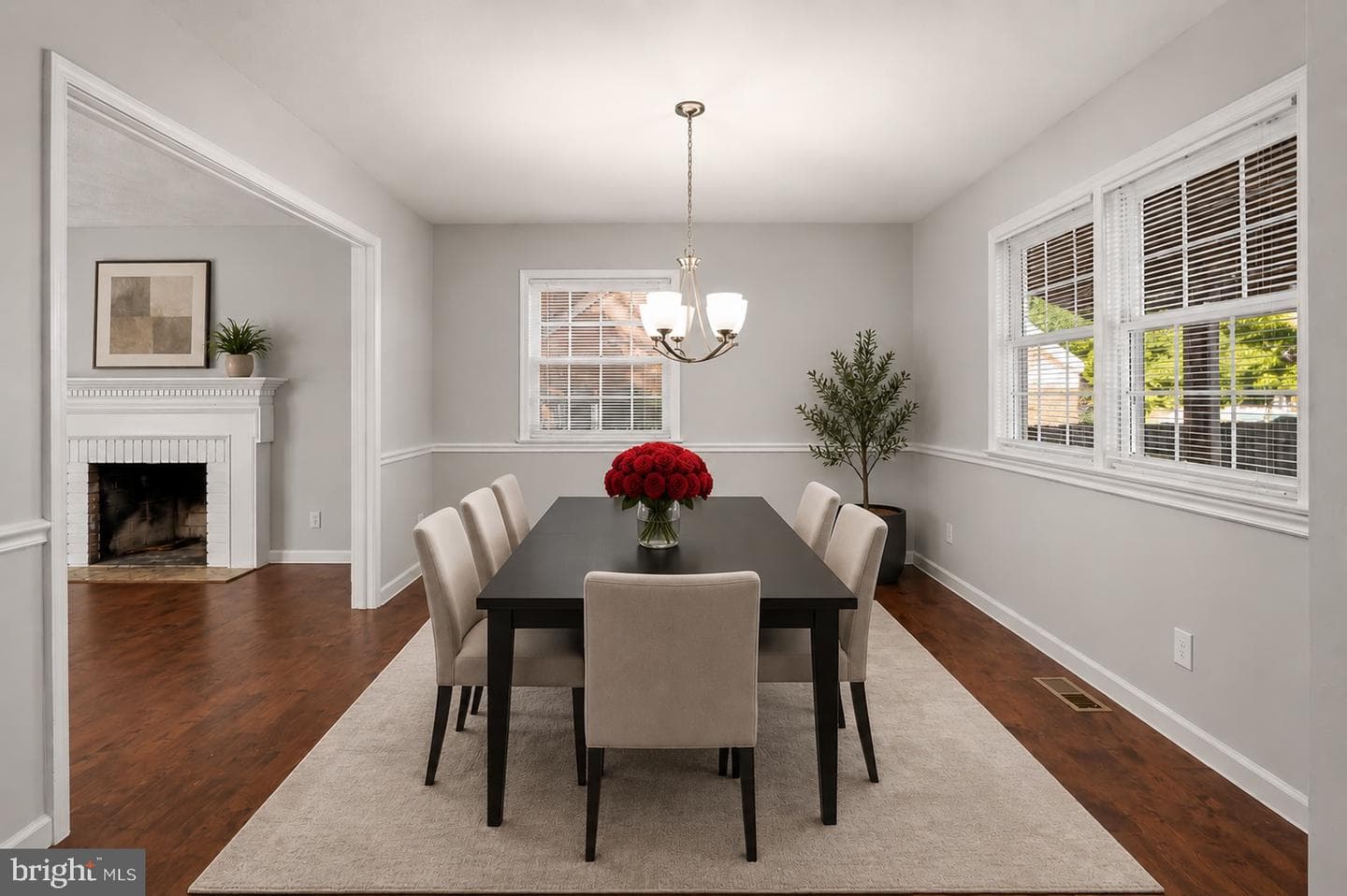 13512 Reid Circle photo 22
