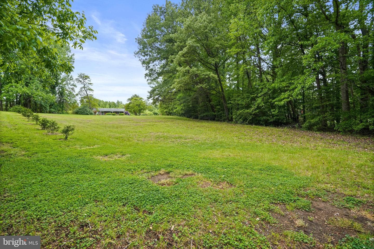 6201 Croom Station Road photo 37