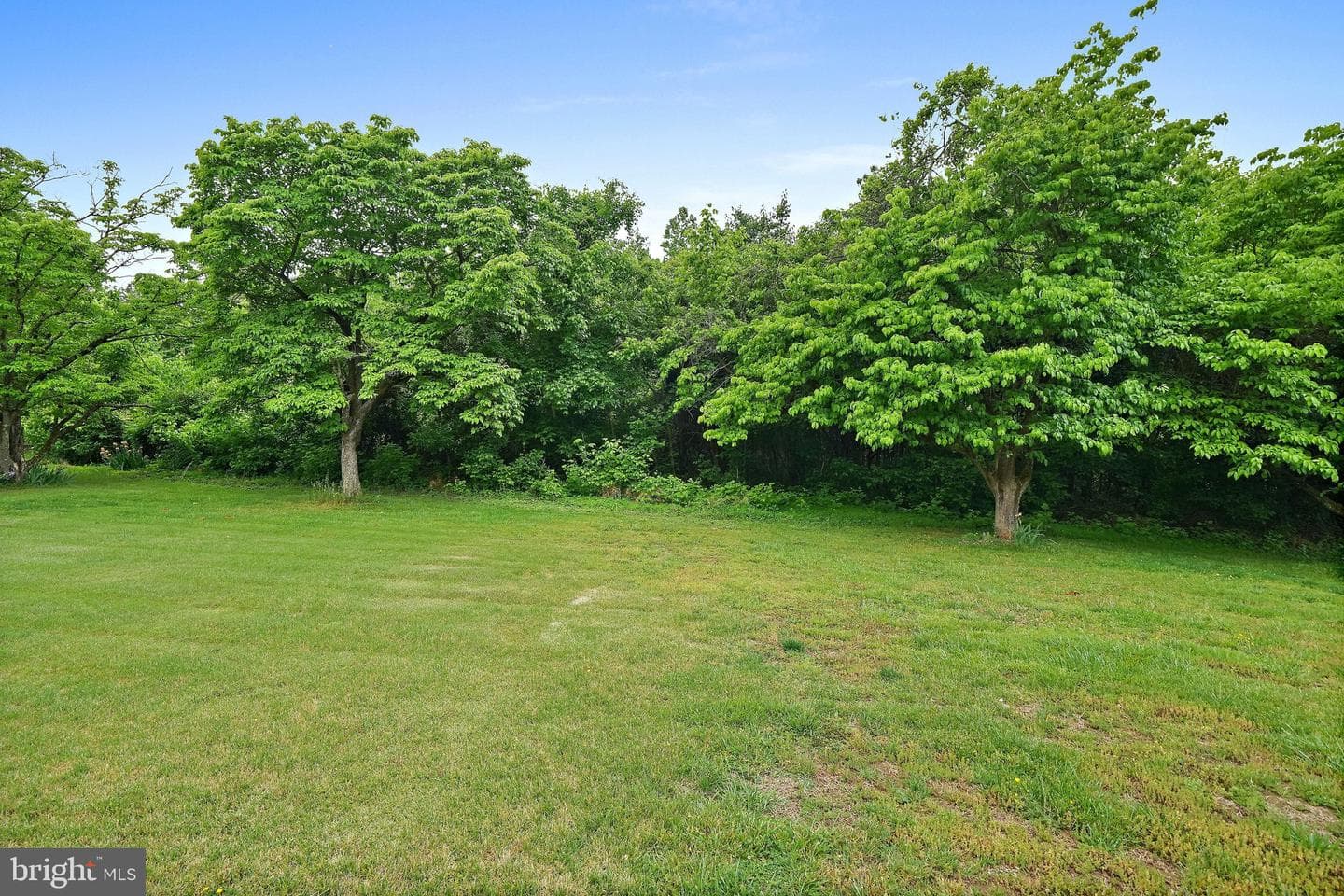 6201 Croom Station Road photo 43