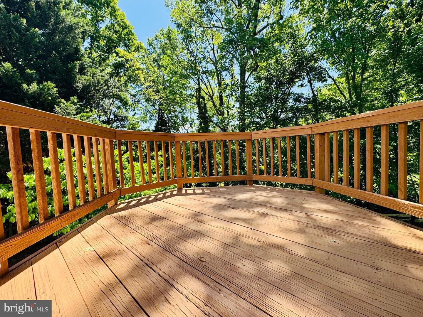 12405 Quiet Owl Lane photo 37