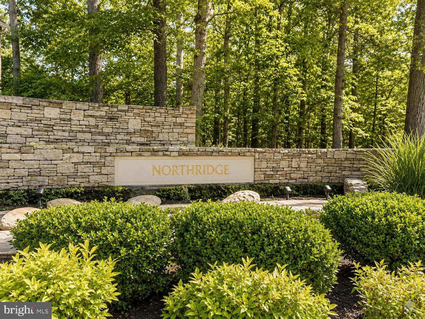 12405 Quiet Owl Lane photo 42