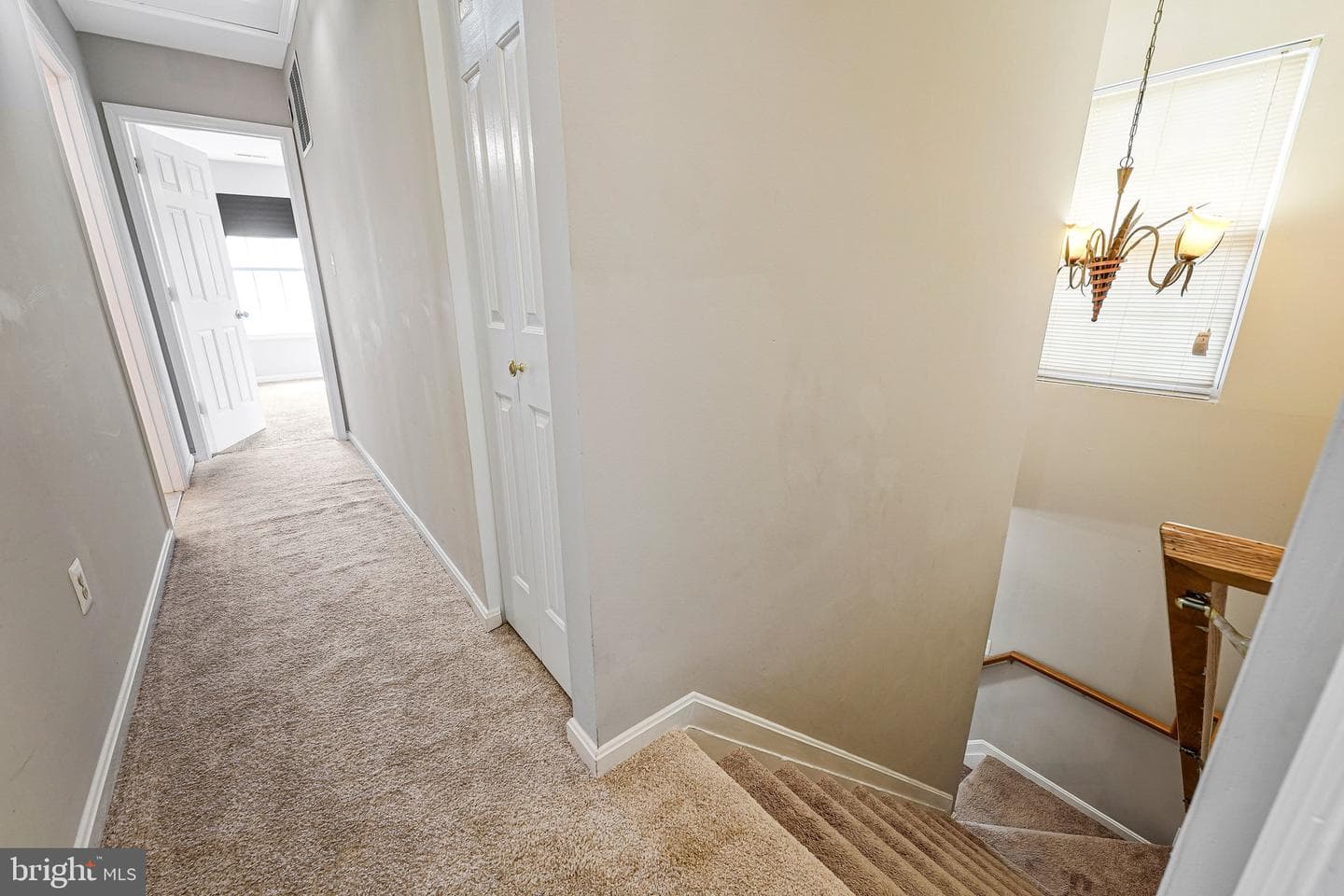 1617 Shady Glen Drive photo 19
