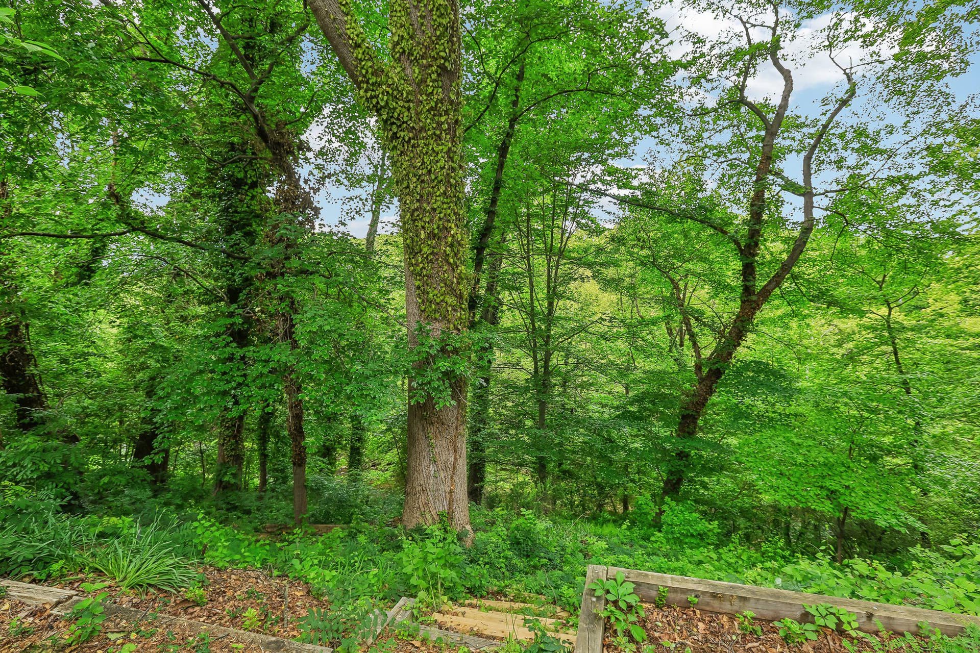 221 Patuxent Road photo 29
