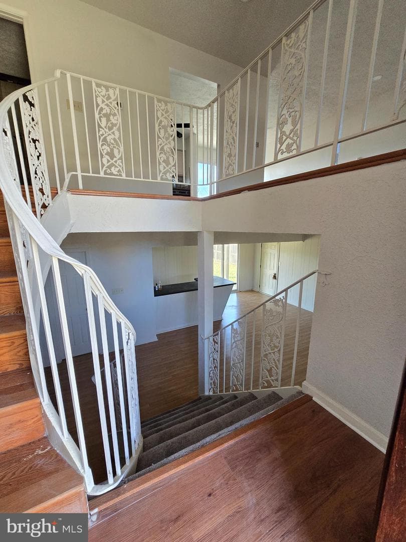 8907 Chad Way photo 3