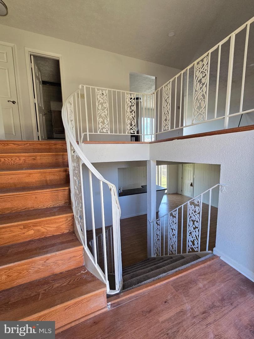 8907 Chad Way photo 35