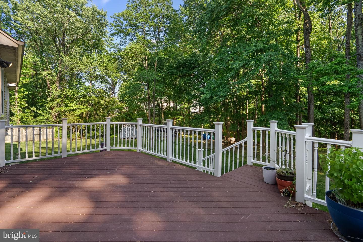 6113 Omar photo 58