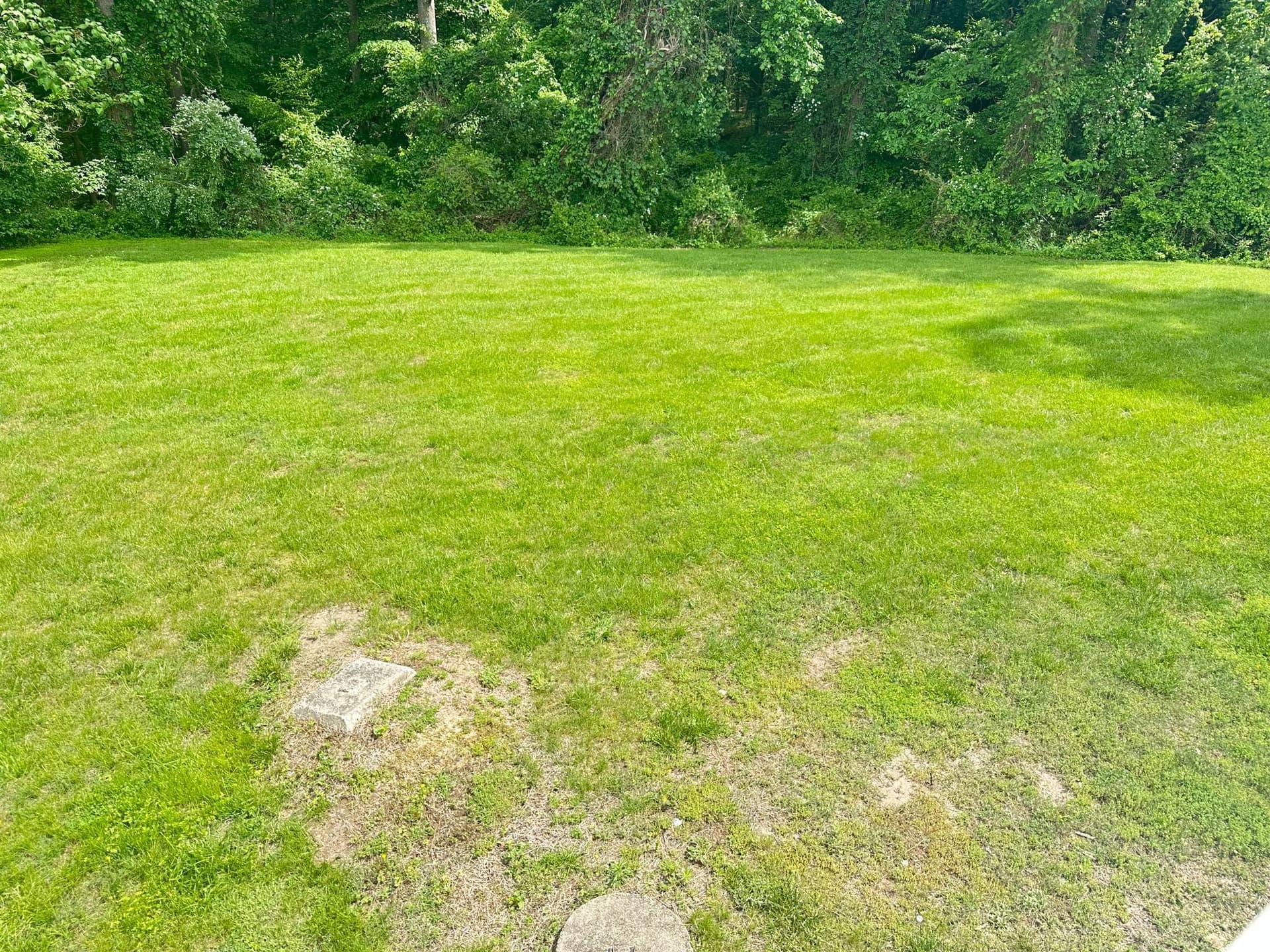 9124 Croom Road photo 43