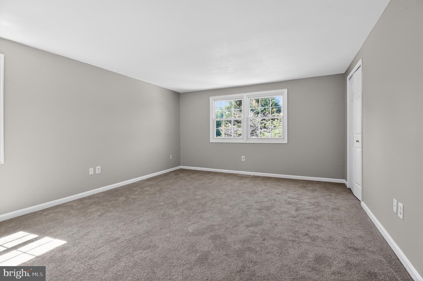 3801 Woodhaven Lane photo 8
