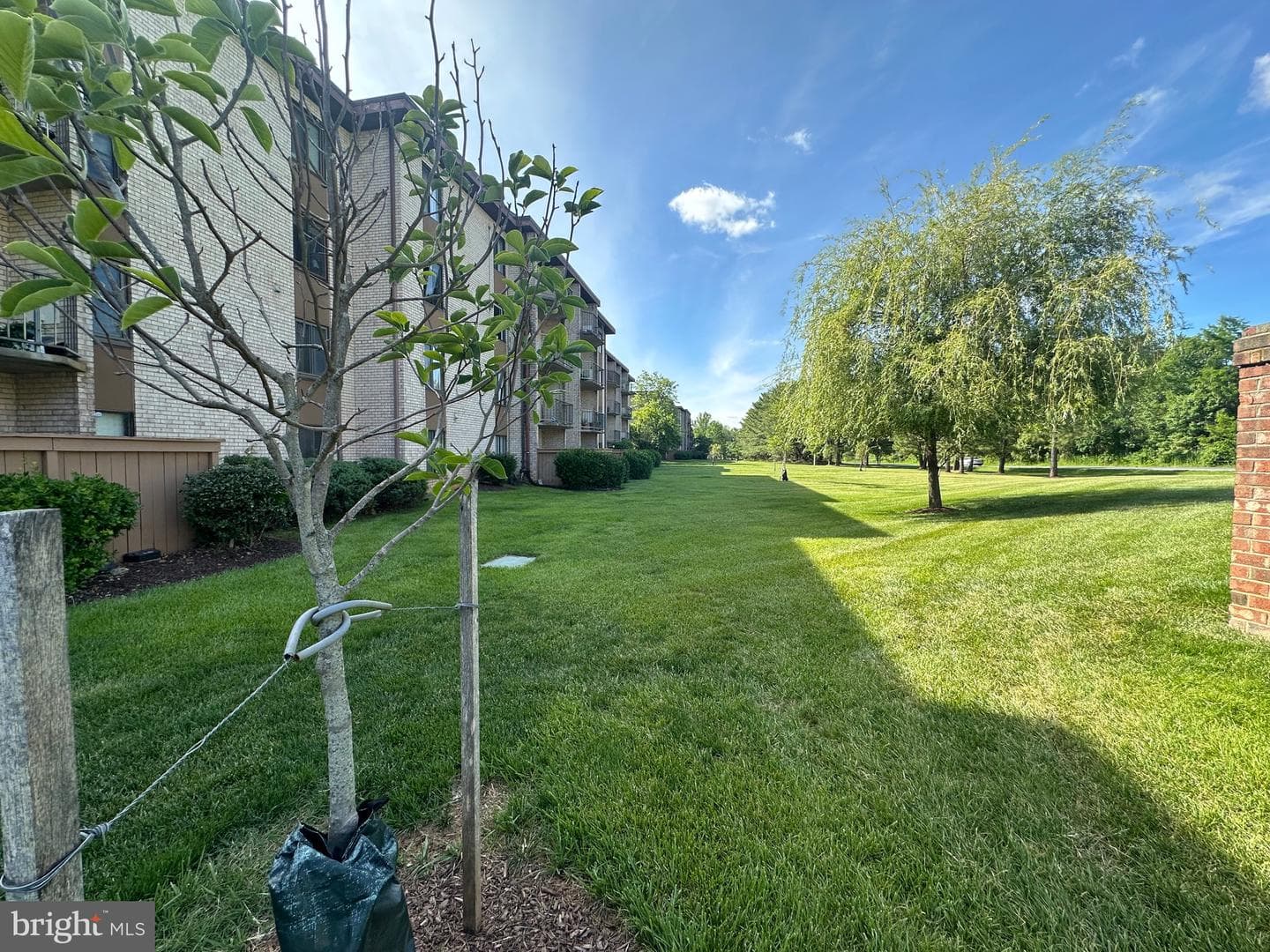 6926 Hanover Parkway #303 photo 20