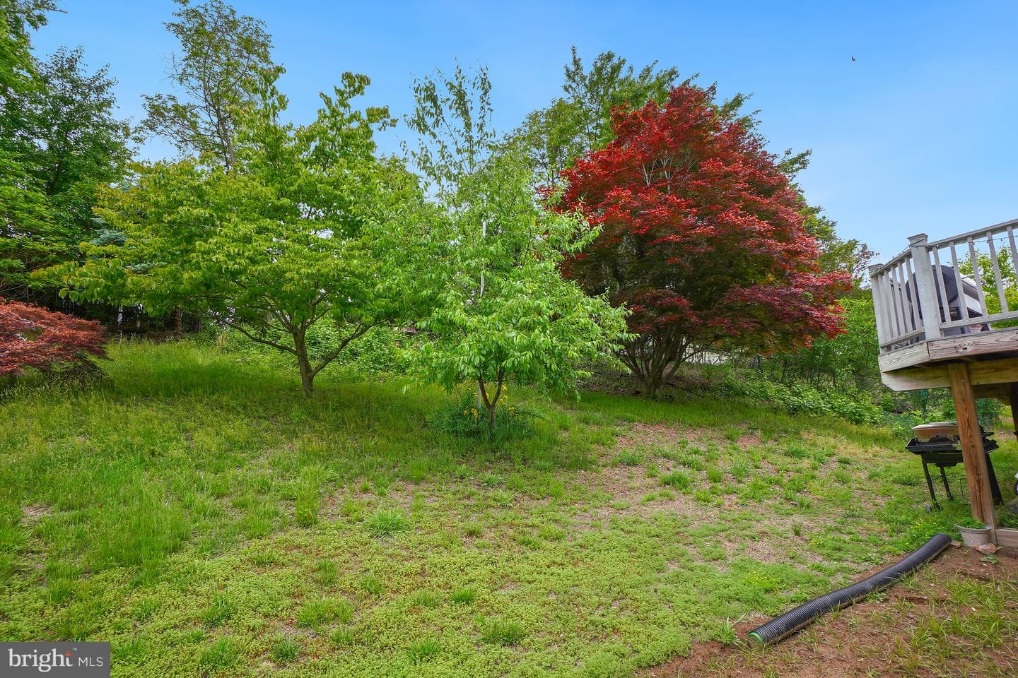 4815 Woodford Lane photo 25