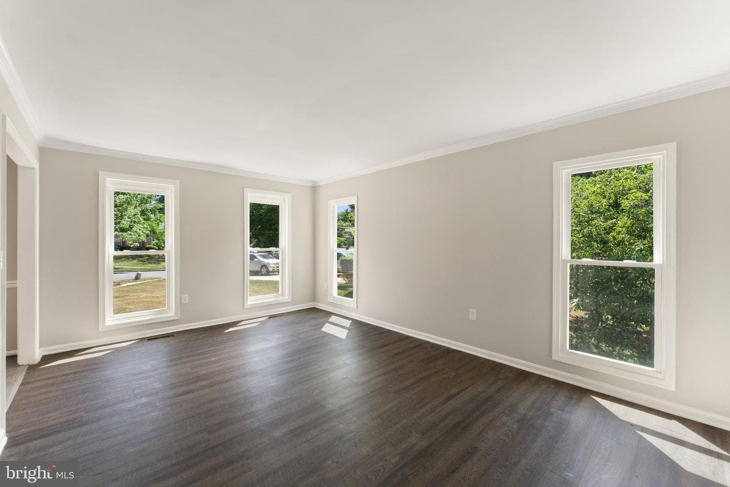 10608 Terrapin Hills Court photo 5