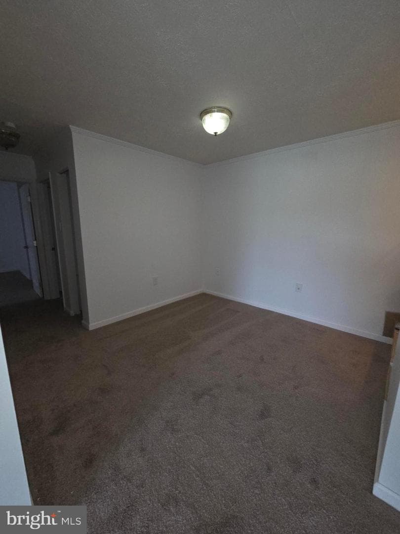 7728 Hanover Parkway #301 photo 11