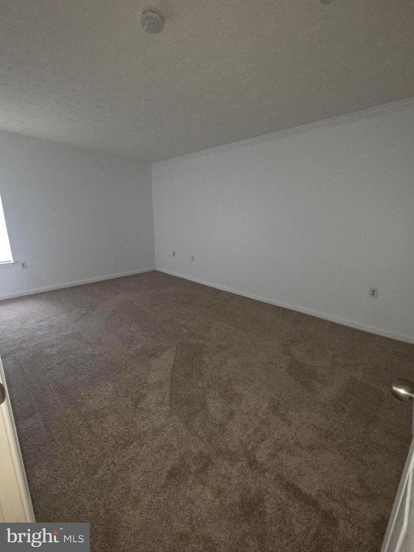 7728 Hanover Parkway #301 photo 15