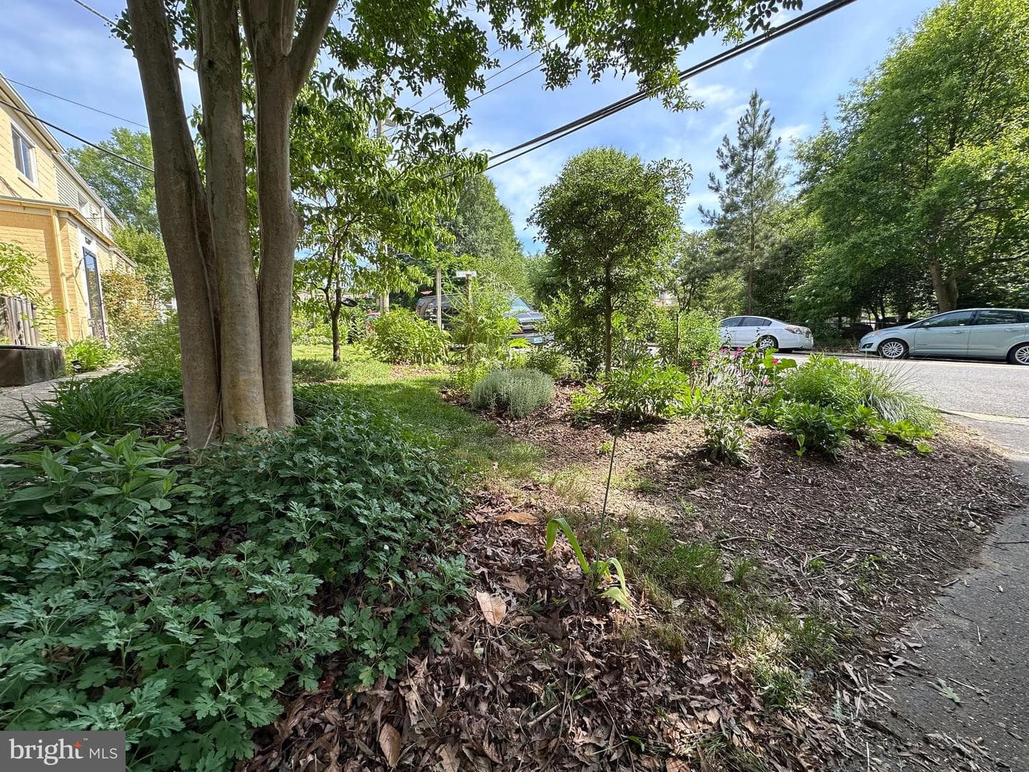 3 Gardenway photo 15