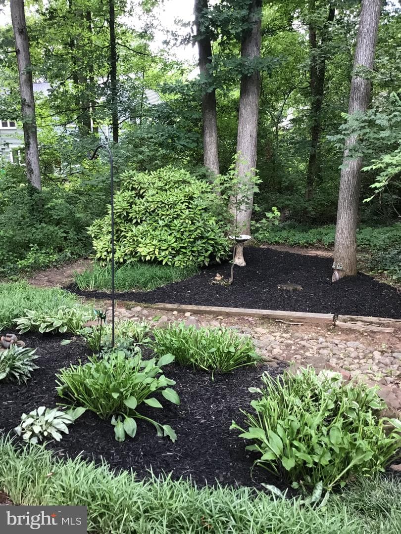 5 Laurel Hill Road photo 11