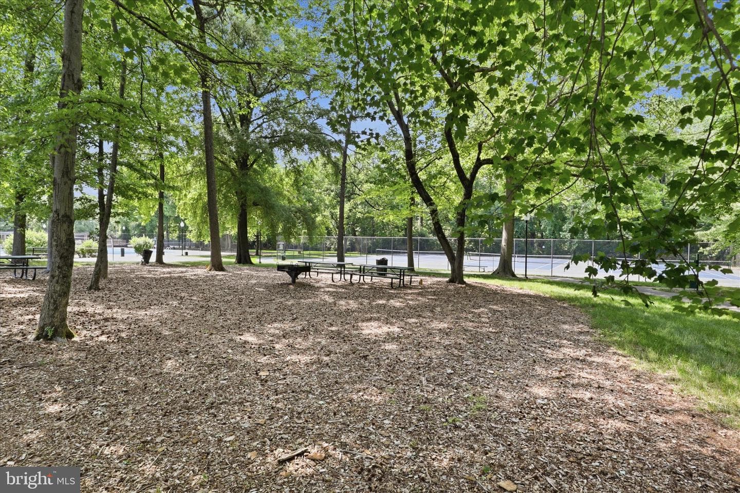 7818 Hanover Parkway #101 photo 32