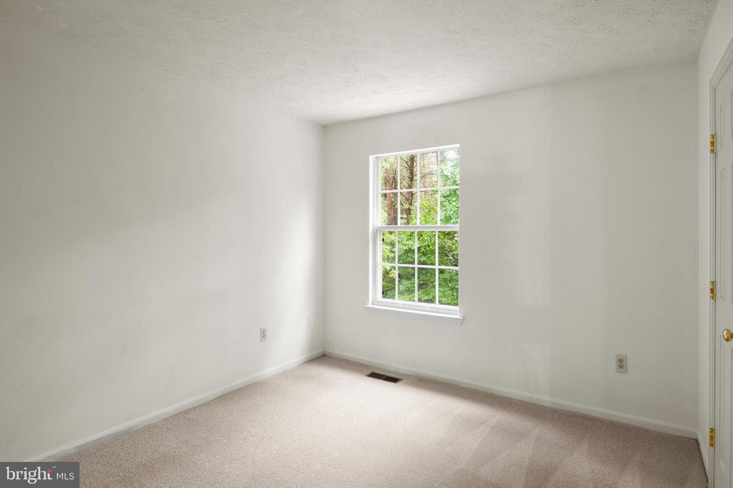 12700 Quarterhorse Drive photo 34