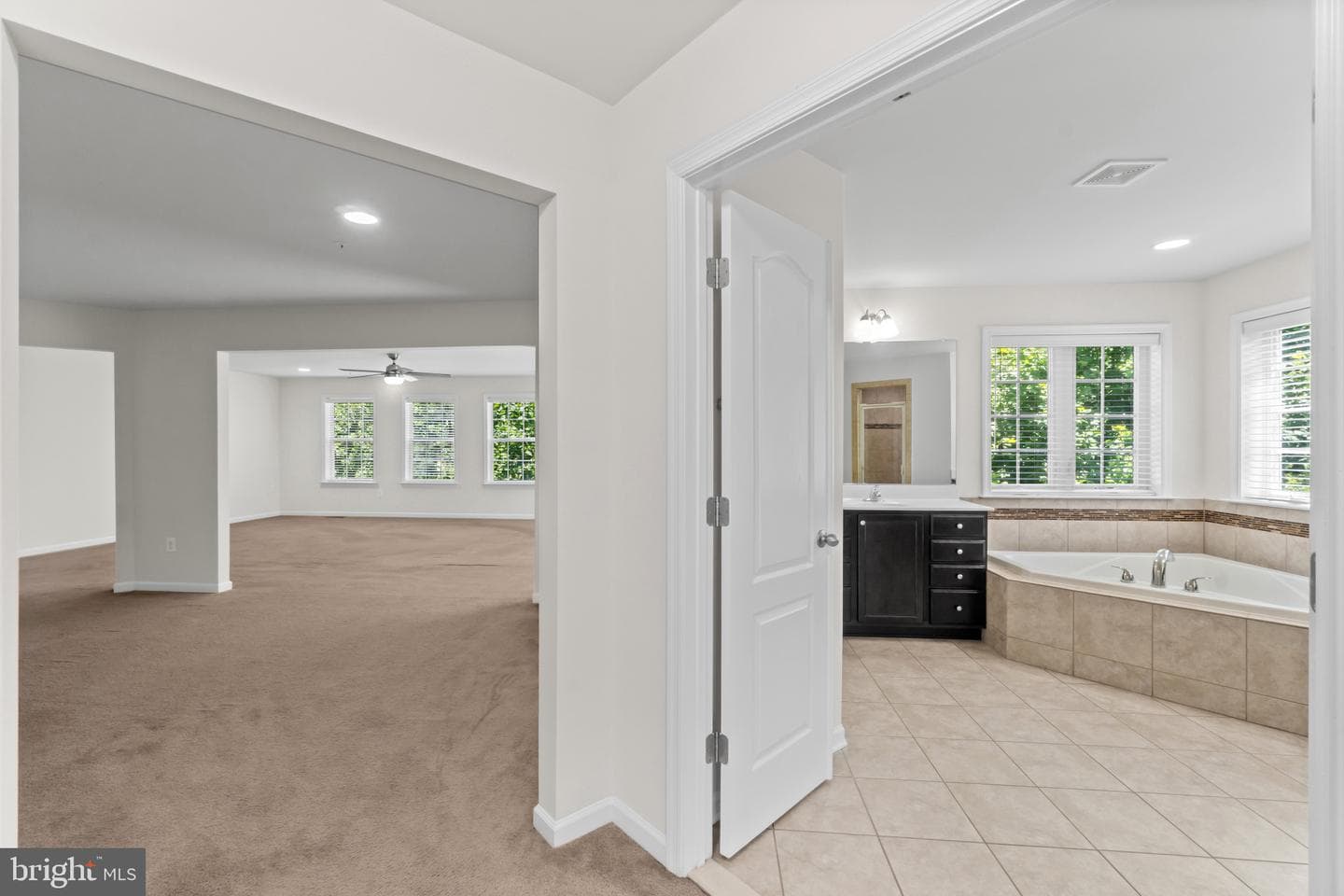 9613 Manor Oaks View photo 36