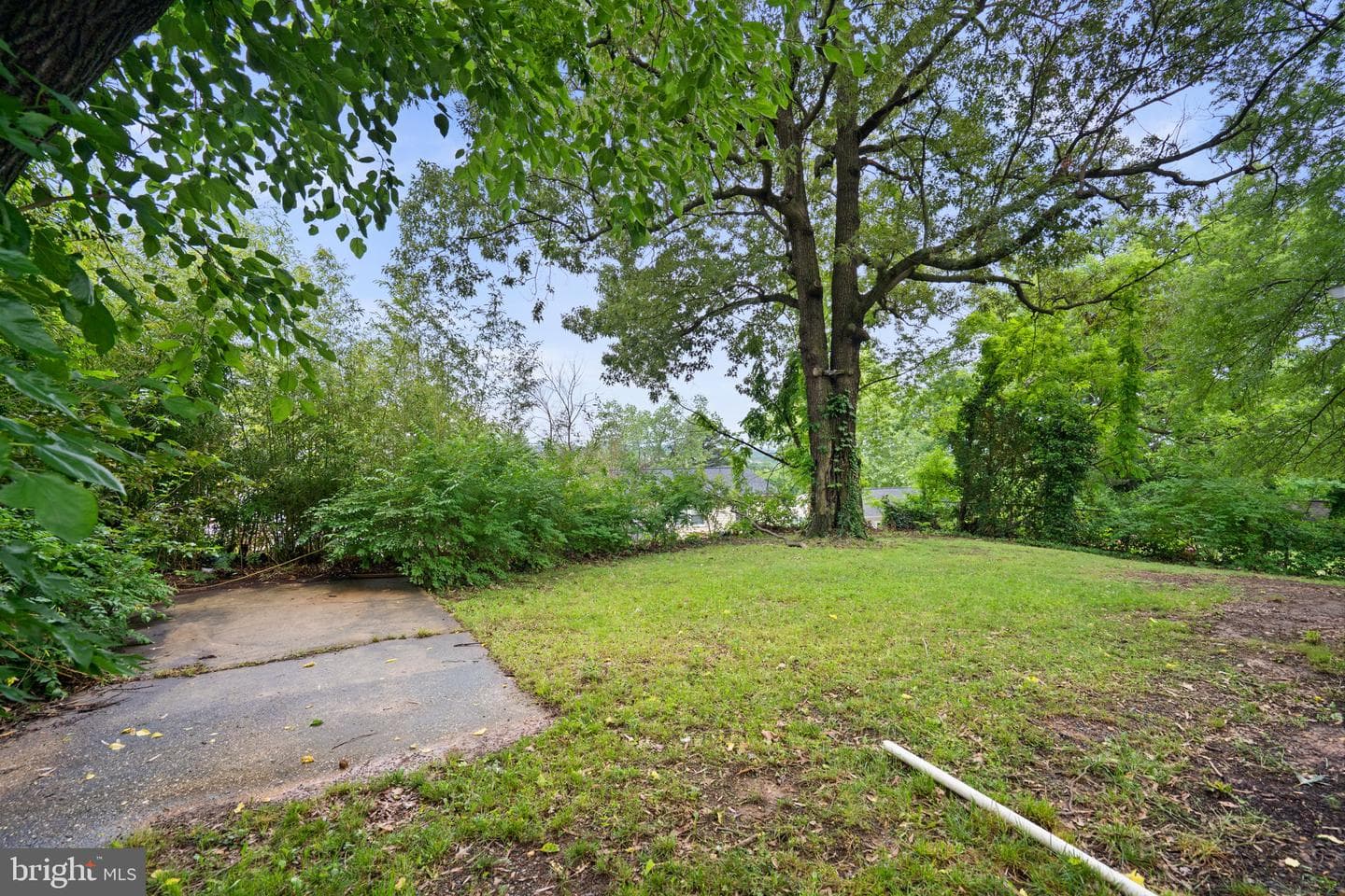 6923 Randolph St photo 44