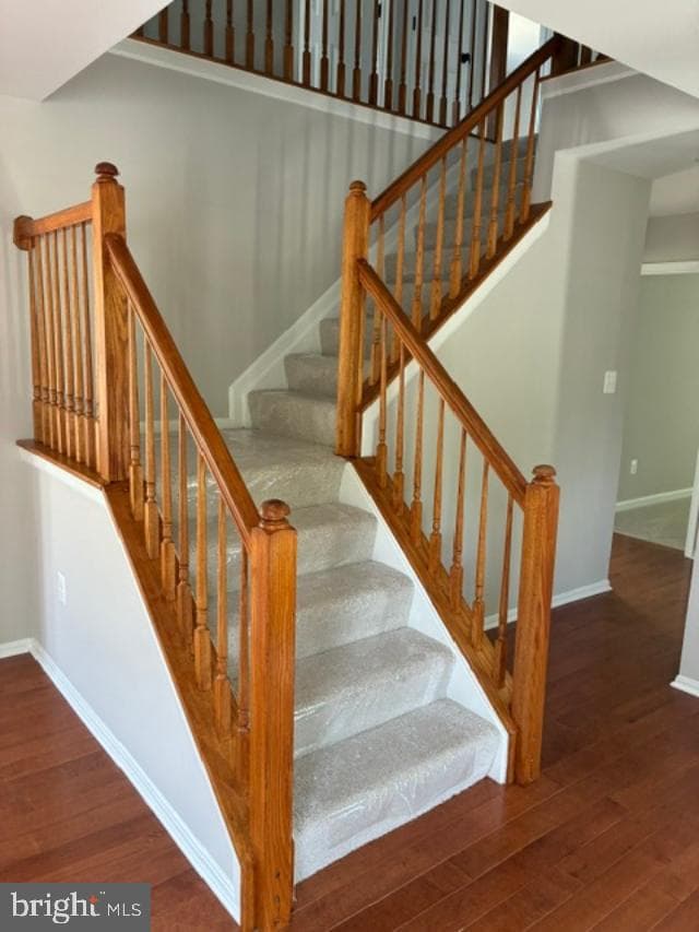 8403 Branchwood Circle photo 24