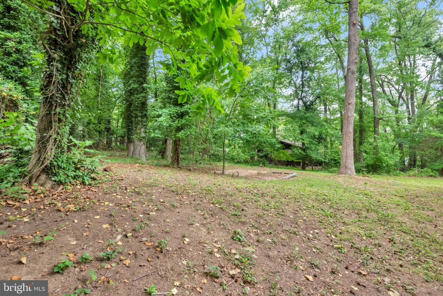 14913 Wannas Drive photo 40