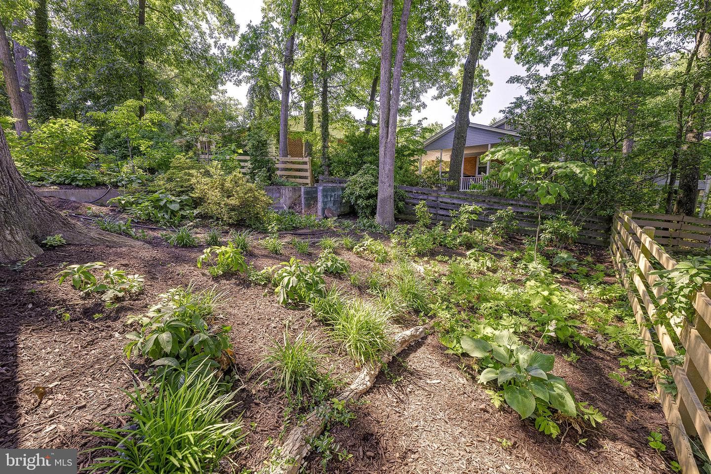 5 Olivewood Court photo 13