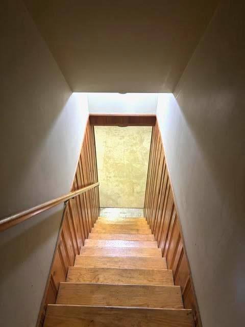 2221 Tonga Drive photo 19