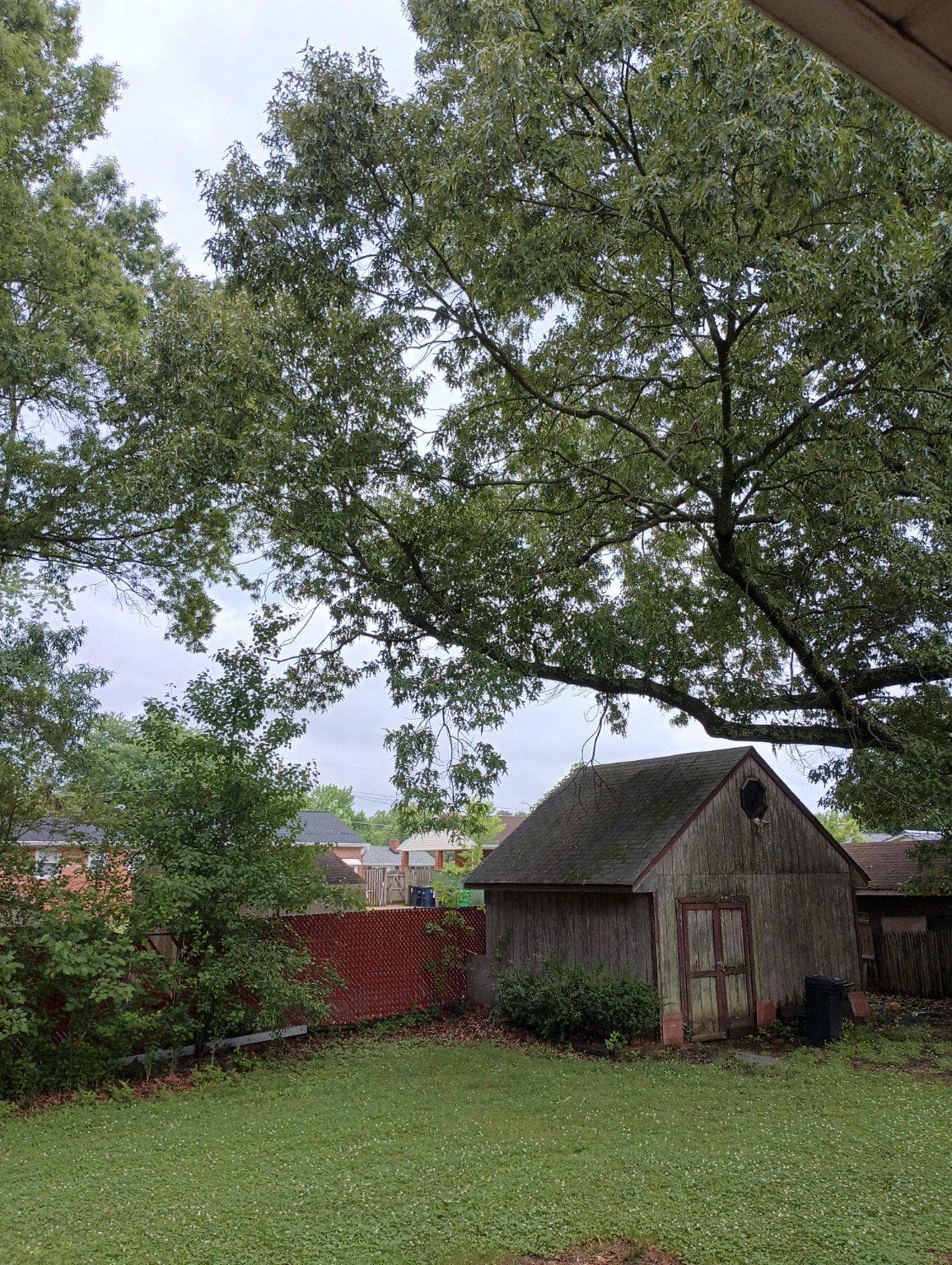 2221 Tonga Drive photo 31