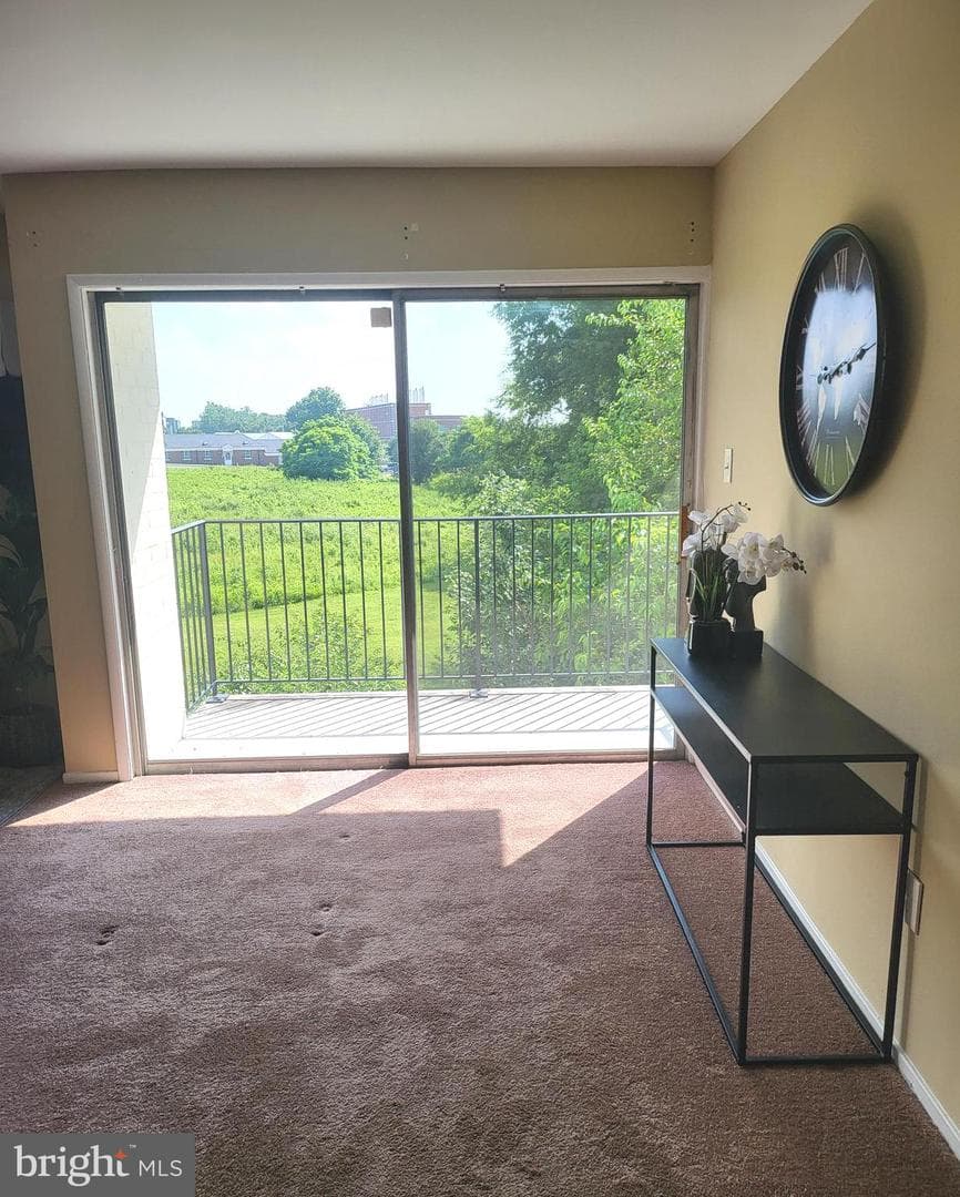 4513 Romlon Street #203 photo 11