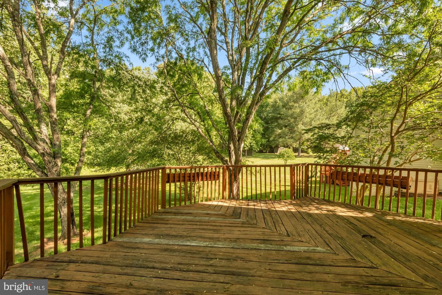 11526 Waesche Drive photo 41
