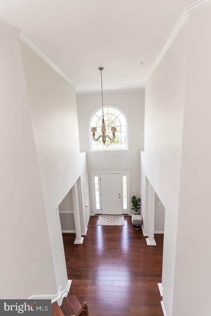 10807 Glenshire Drive photo 21