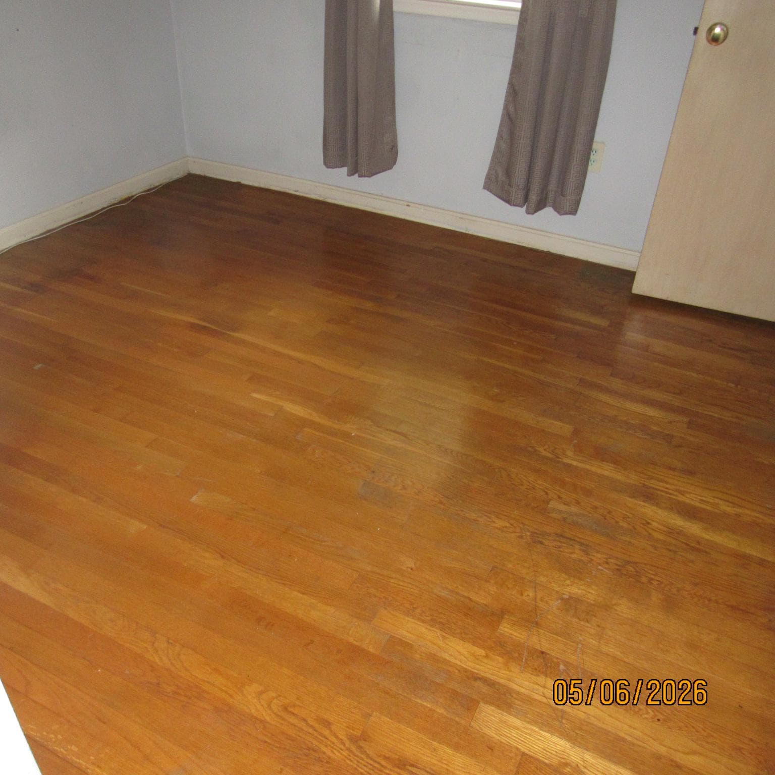 5000 Luci Lane photo 11