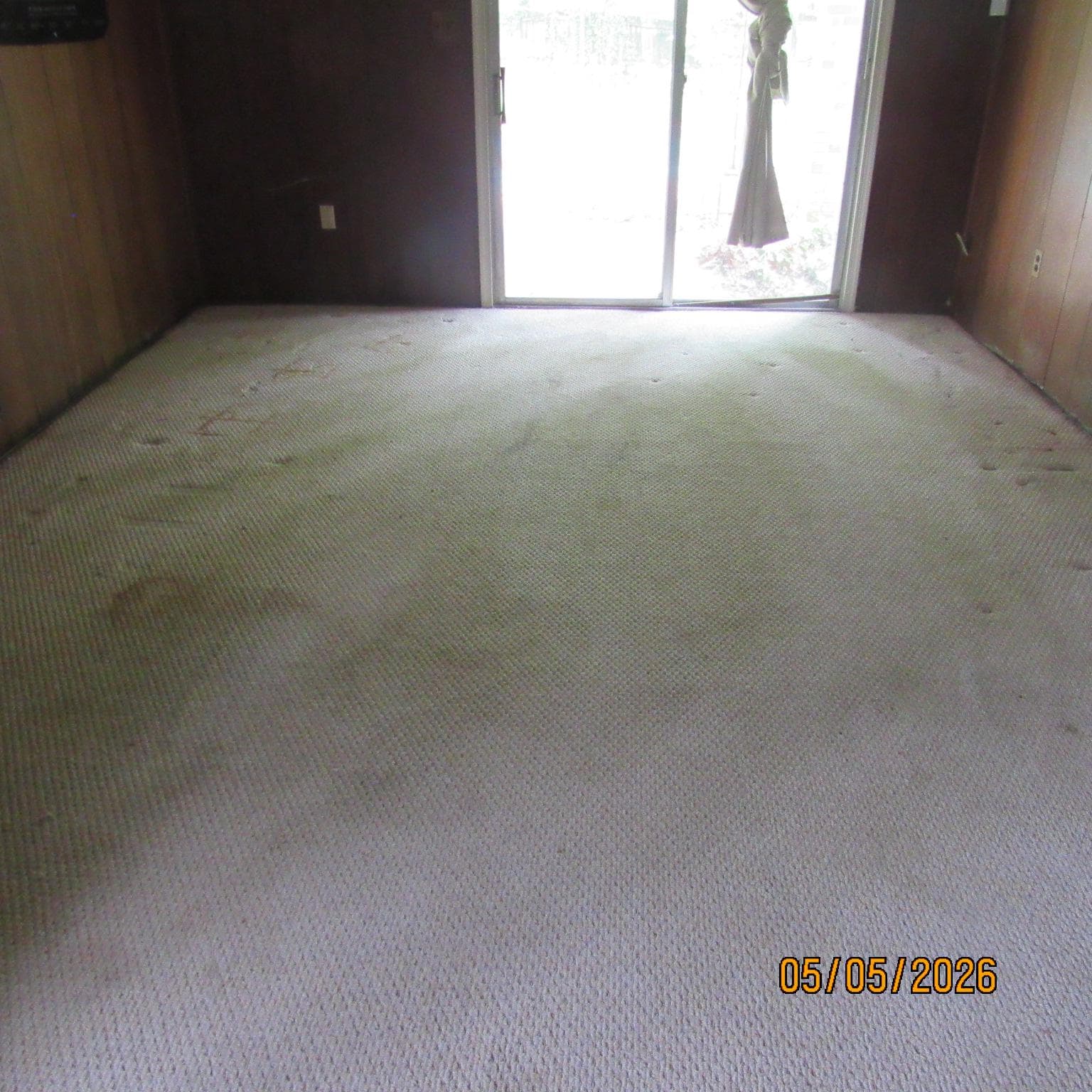 5000 Luci Lane photo 16