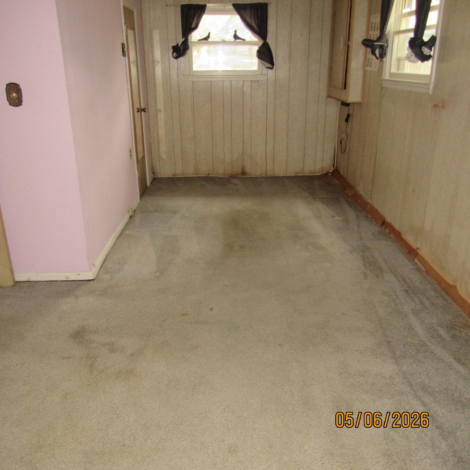 5000 Luci Lane photo 18