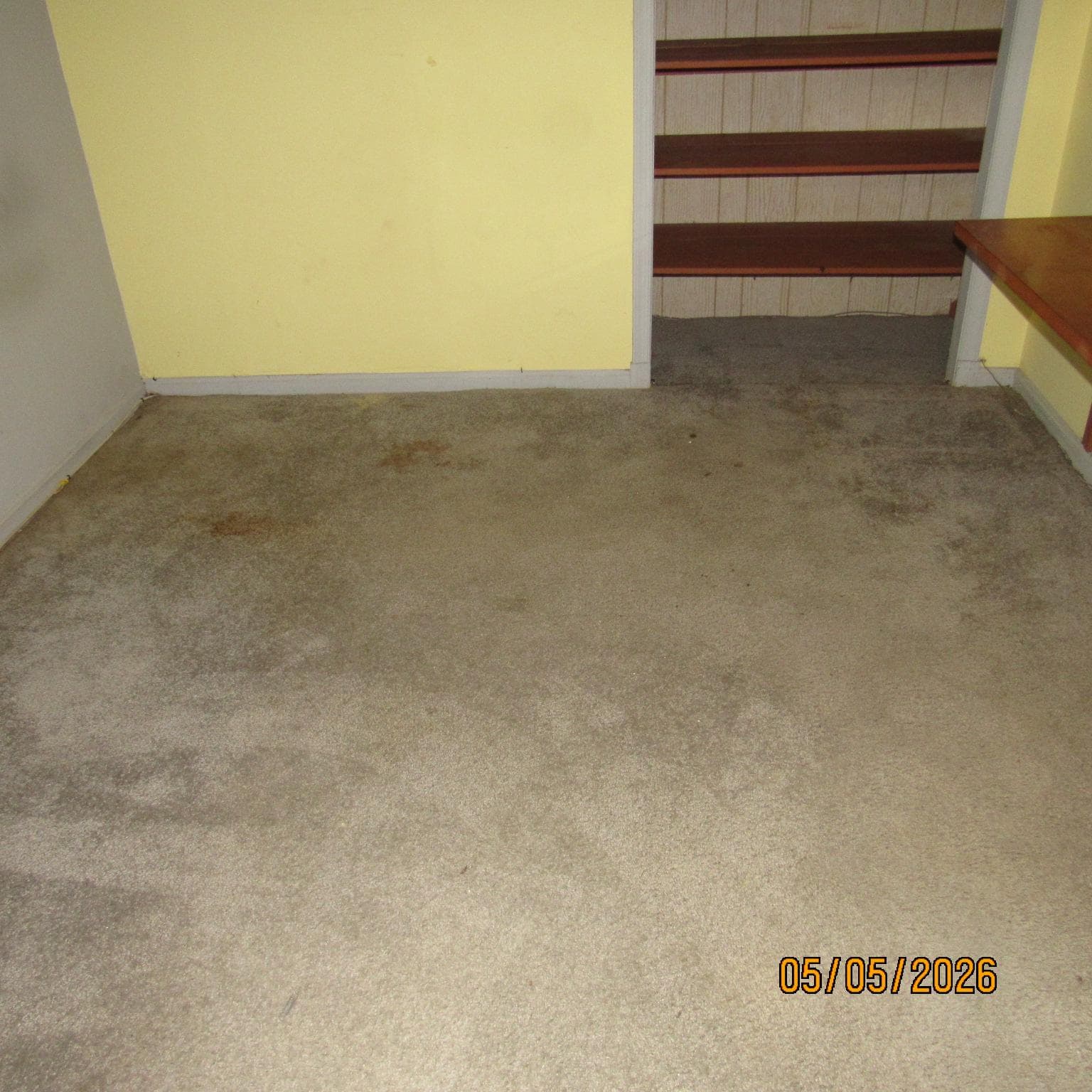 5000 Luci Lane photo 19